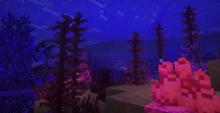 2026-10-06_233725.webp