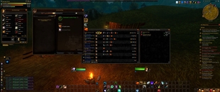 WoWScrnShot_101126_120711.jpg