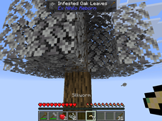 02-silkworms.png