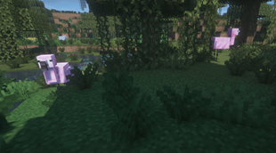 imagen_2026-10-11_205757387.png