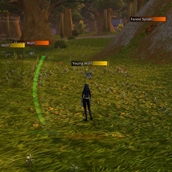 Alliance in Elwynn Forest
