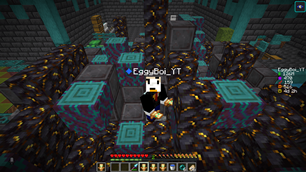 Works_On_DonutSMP.png
