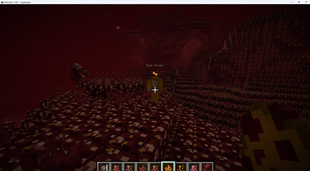 Minecraft_ 1.20.1 - Singleplayer 2026-10-11 7_28_55 PM.png