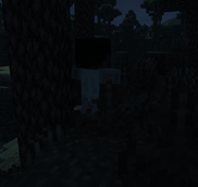 Screenshot 2026-10-11 215540.png