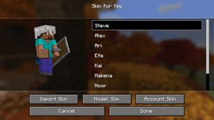 custom_skin.png