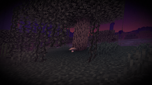 Screenshot 2026-10-12 081958.png