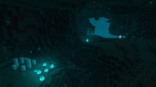 Warped Forest
