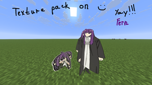 Texture pack on