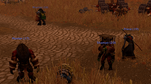 Seen individuals in the wild