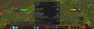 XP Bar, Detailed Info, XP per Minute Window