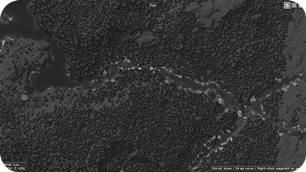 Full View Mono