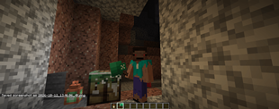 Item overlook.png