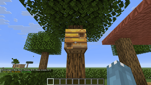 Bee nest inspection