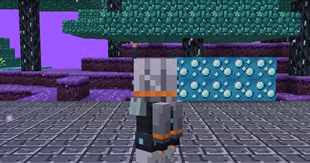 20_tp_back_jetpack.png