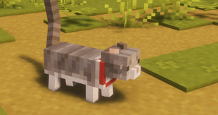 Happy tails :>