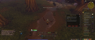 WoWScrnShot_101126_210528.jpg