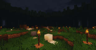 camping_night.png