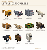 04-little-discoveries.png