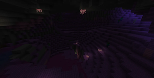 Candy Cave