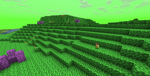 Jelly Bean Fields