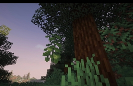 Screenshot 2026-10-13 at 9.08.20â¯AM.jpg