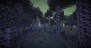 gallery_image-6-png.png