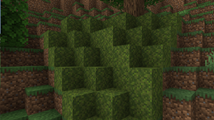 1000005615.png