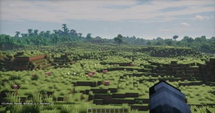 Comparison 1 : Living Horizon OFF