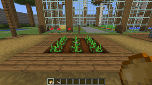 Creative potato planting