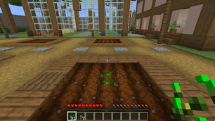 Vanilla single planting