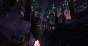 image-attachment_729c0d05-66a4-482f-ac70-6cc0450869a6.png