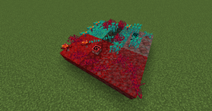Crimson and Warped related items