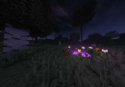 Twilight Forest