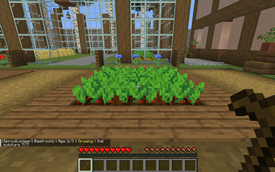 Beetroot growth stages