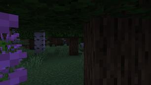 image-attachment_e5362bd6-69ae-4b54-b044-34c451f441ac.png