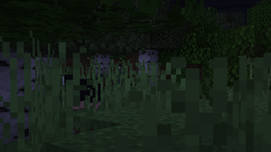 ChatGPT Image Oct 13, 2026, 09_50_19 AM.png