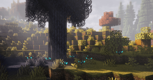 Mushrooms in modded biomes