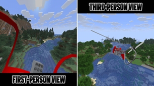 First-Person and Third-Person Views