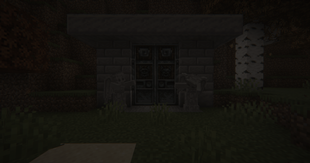 Mysterious Door
