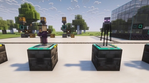 Witch and Enderman models