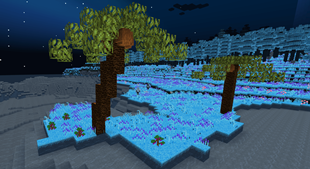 Coconuts and Grape Bushes in The Aurorian dimension.png