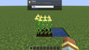 16-jade-crop.png