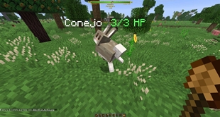 001.jpg