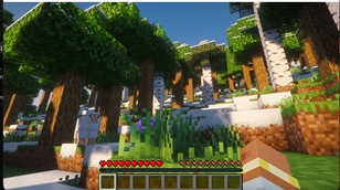 RealScale_forest_under_1MB.jpg