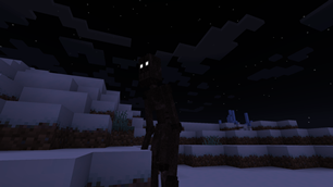 Night