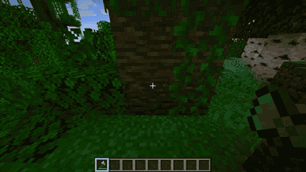 2x2.gif