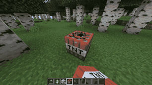 tnt.gif