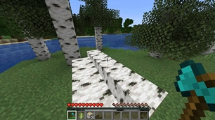 logs