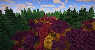 Biomes O' Plenty Seasonal Forest.jpg