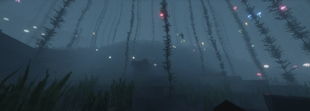 The abyss